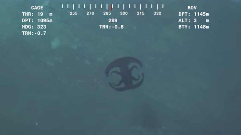 Подводный «инопланетянин», похожий на логотип