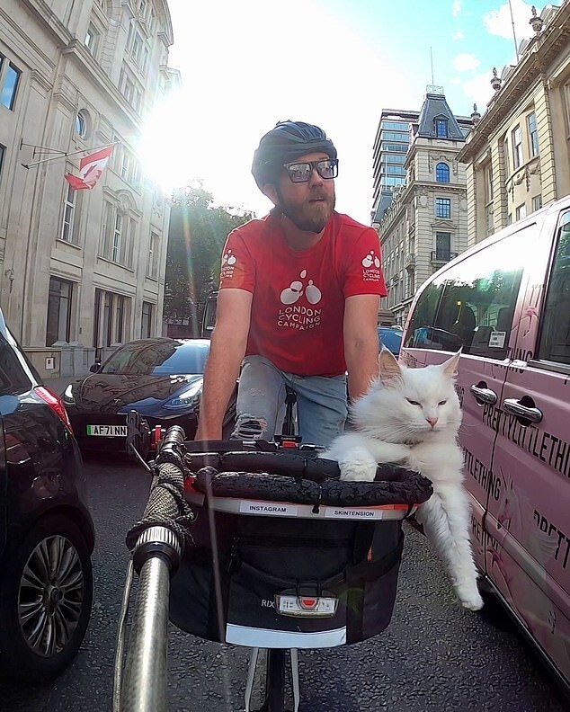 Глухая кошка ездит с хозяином на велосипеде — и собрала миллионы поклонников