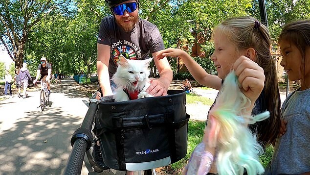 Глухая кошка ездит с хозяином на велосипеде — и собрала миллионы поклонников