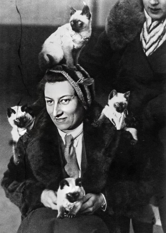 28. Британка К. Бейтман со своим семейством сиамских кошек на выставке