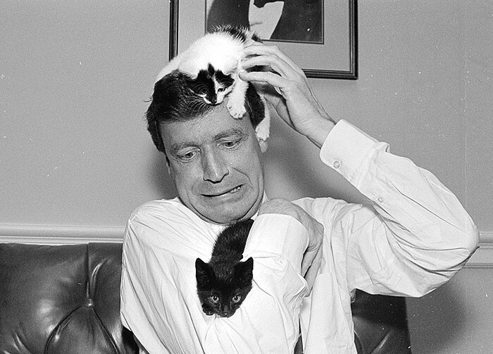 12. Питер Костмайер, бывший Член Палаты представителей США, в своём офисе с кошками. 1991 год