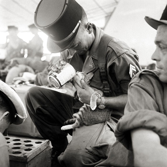 3. Французский солдат кормит котёнка, 1956 год, Французский Индокитай