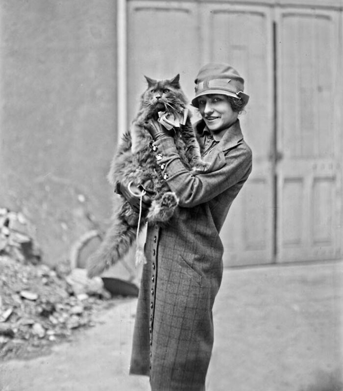 26. Марсель Адам, президент кошачьего клуба во Франции, 1926 год