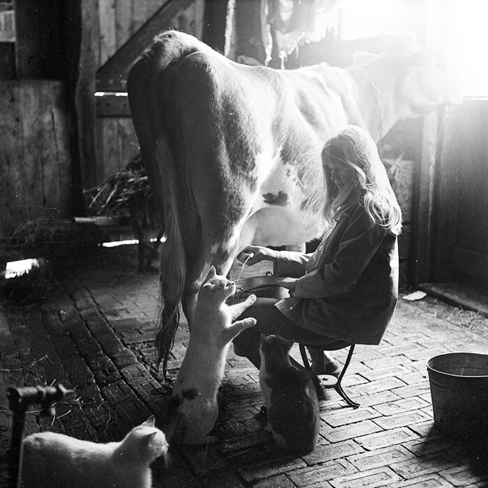9. "Моя мама кормит кота молоком прямо из-под коровы, 1960-е годы"