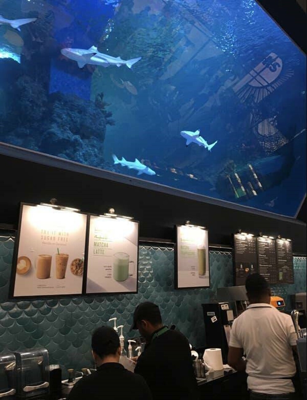 3. Кофейня в Омане, а над ней - аквариум с акулами