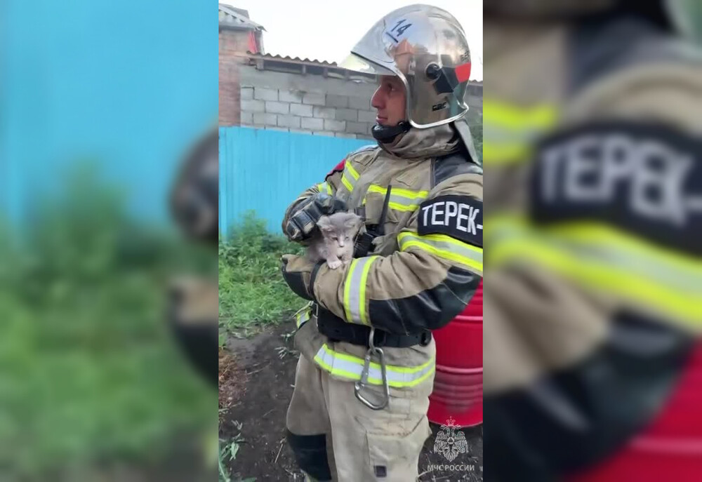 Спасатели вынесли котенка из горящего гаража в Дагестане