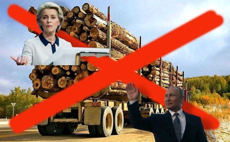Брюссель угрожает России штрафами, если она не возобновит поставки дешевого леса в Европу. От России пришел жесткий ответ