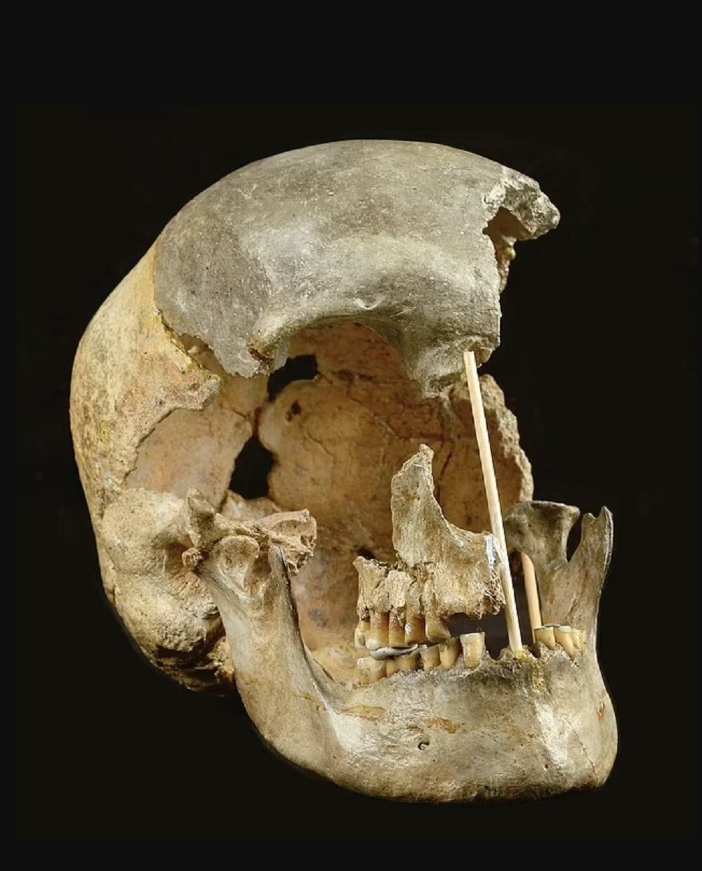 Ученые показали лицо женщины, жившей 45000 лет назад