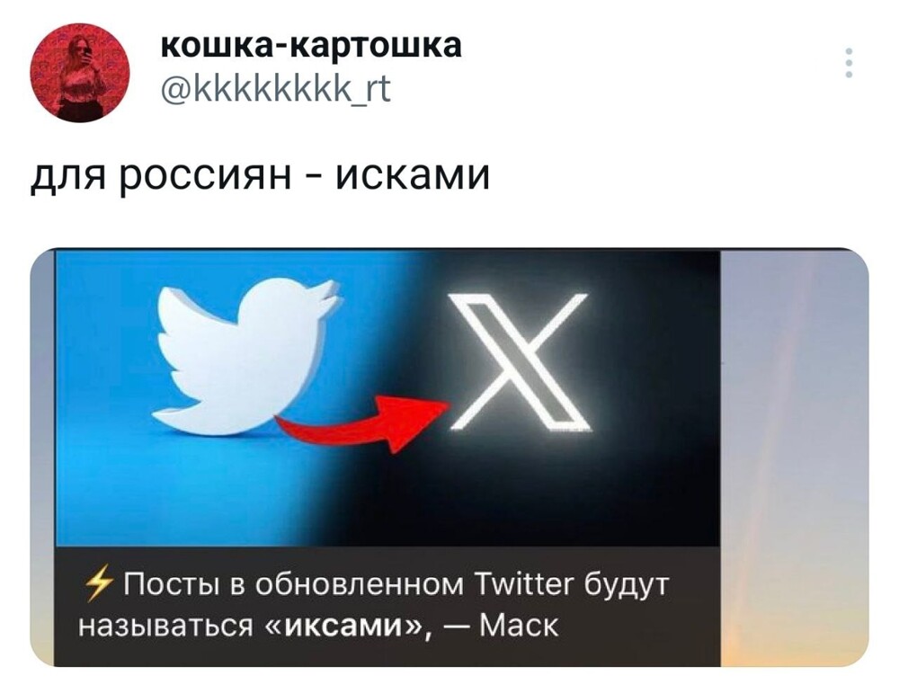 8. А вы знали, что Маск переименовал твиттер в X?