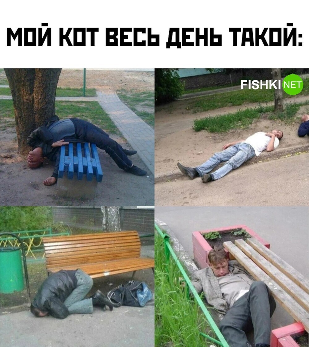 удаленные алкаши 17.01 2024