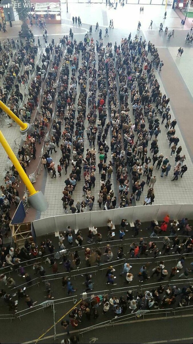 Британцы стоят в очереди без барьеров на концерте Эда Ширана