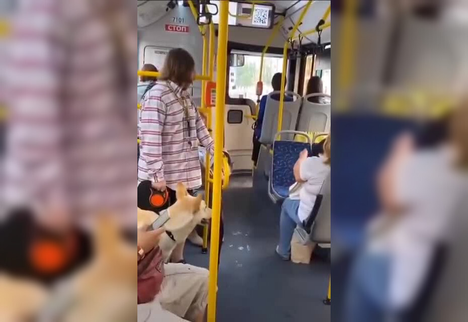 В автобусе парень с собакой без намордника вызвал шквал негодования