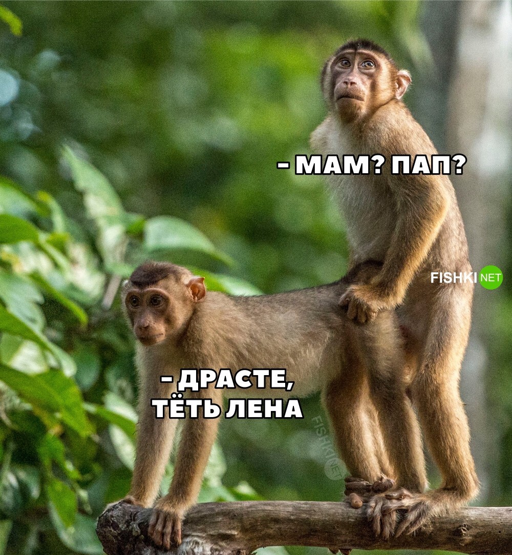 Пошлый юмор