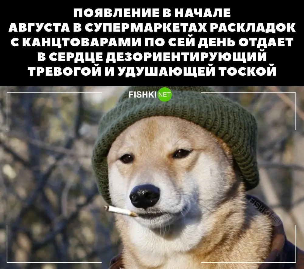 Посмеялся сам - поделись с другом!!!