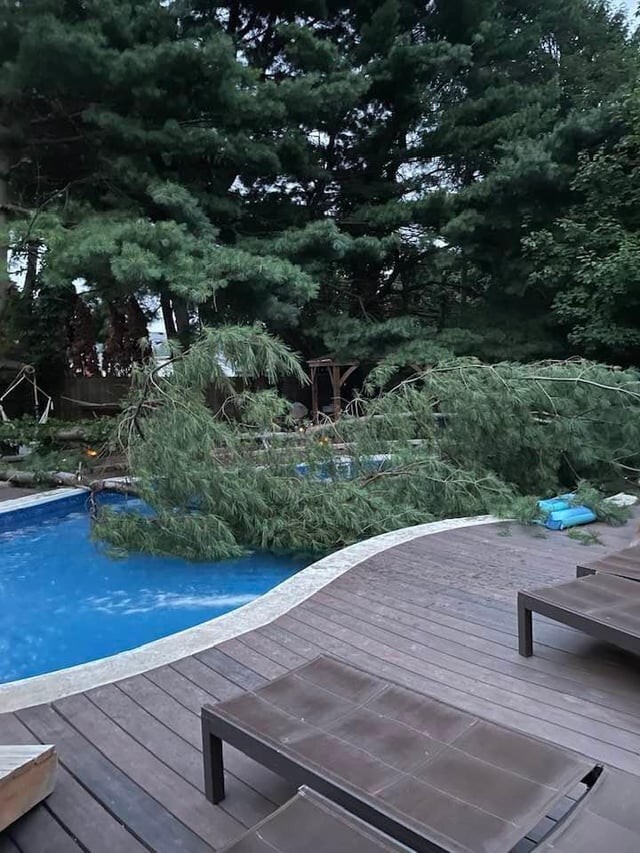 2. "Дерево упало прямо в наш бассейн"