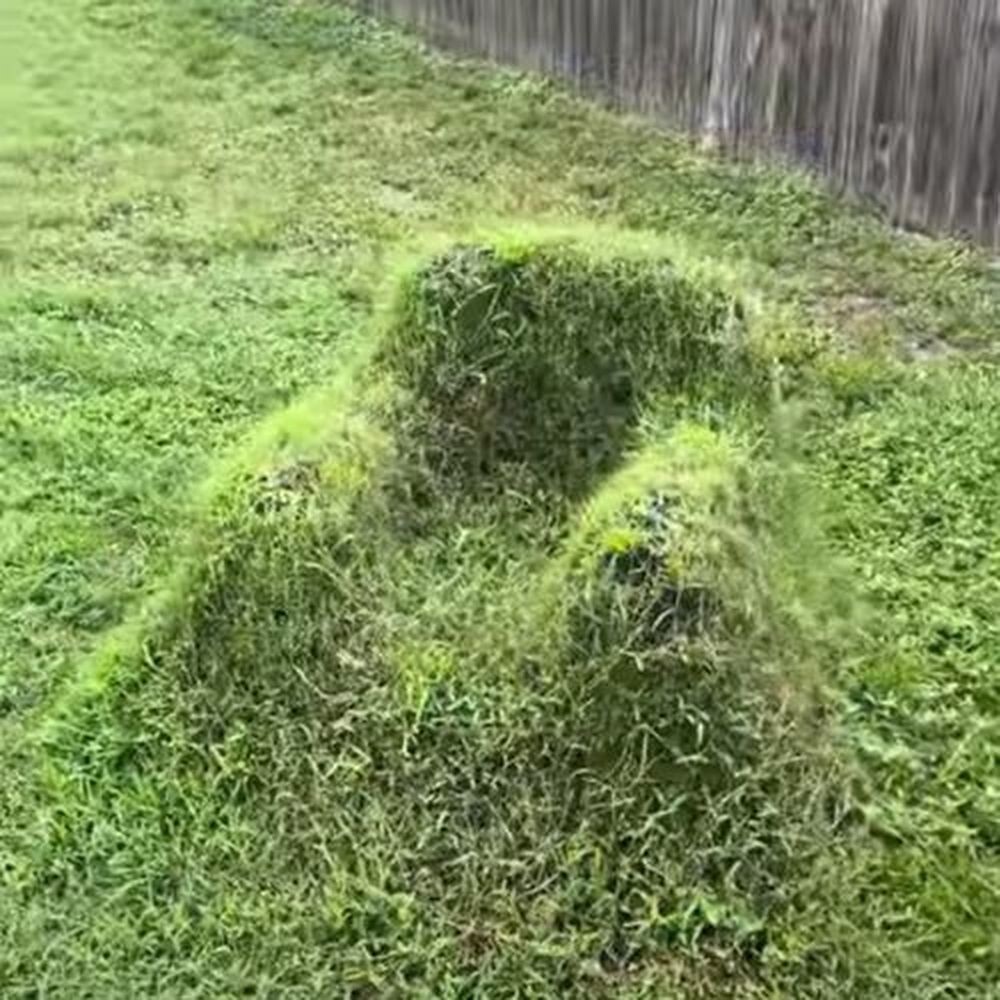 Мужчина сделал в своём саду необычное травяное кресло