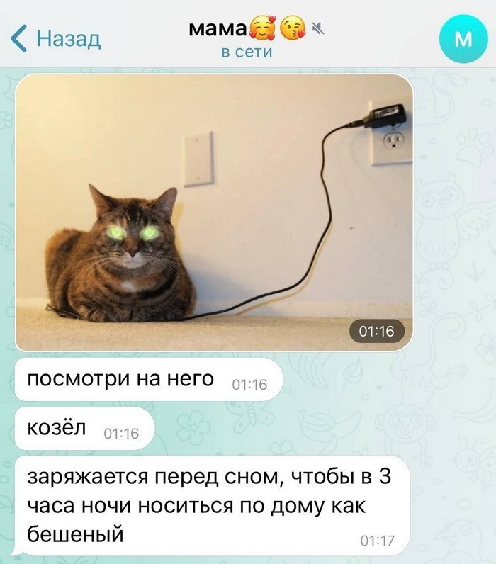 Скрины из соцсетей 