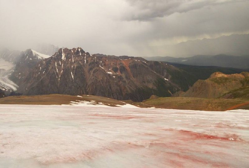 Ледник Водопадный на Алтае окрасился в красный цвет