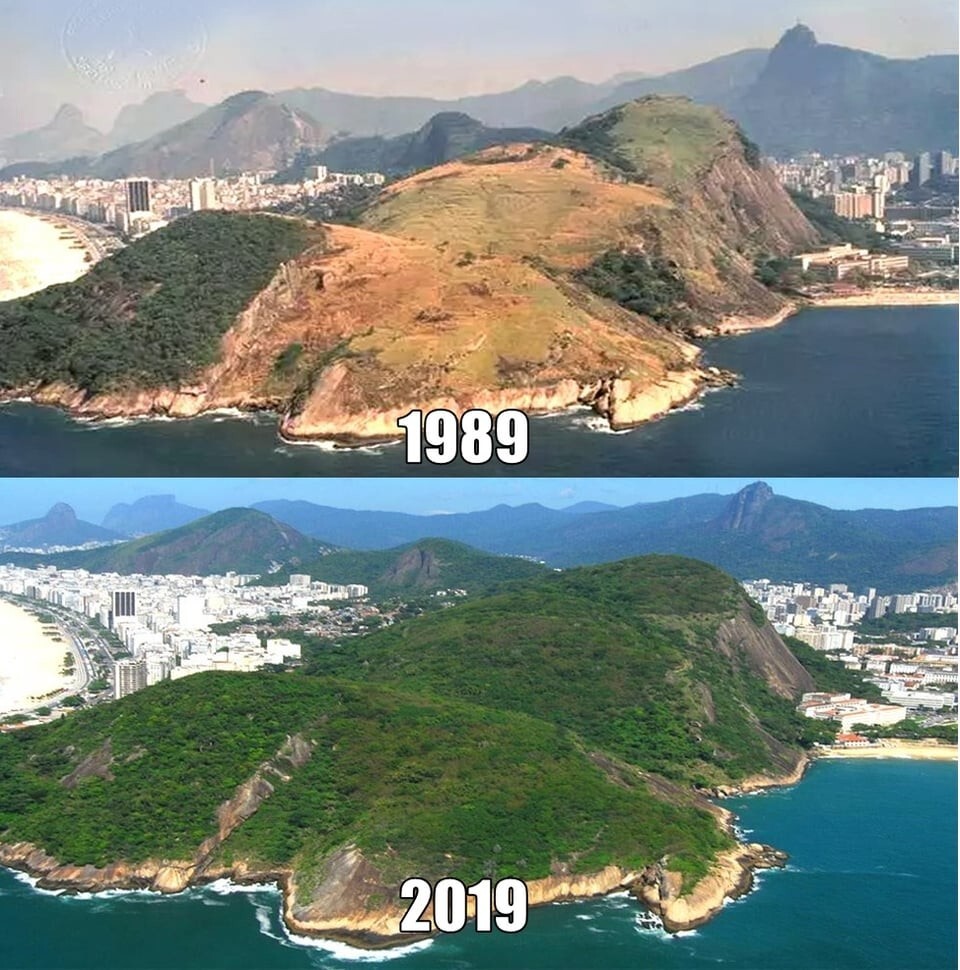 2.Восстановление леса в Рио-де-Жанейро