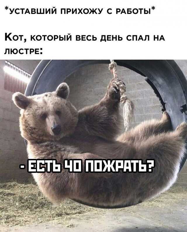 Намешалось