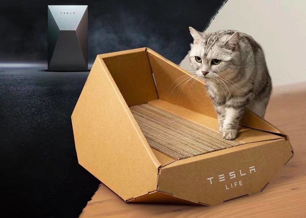 Эту Теслу смогут себе позволить многие: Tesla представила когтеточку в форме Cybertruck