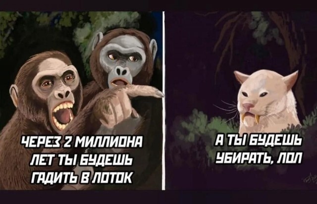 Всё вразнобой 