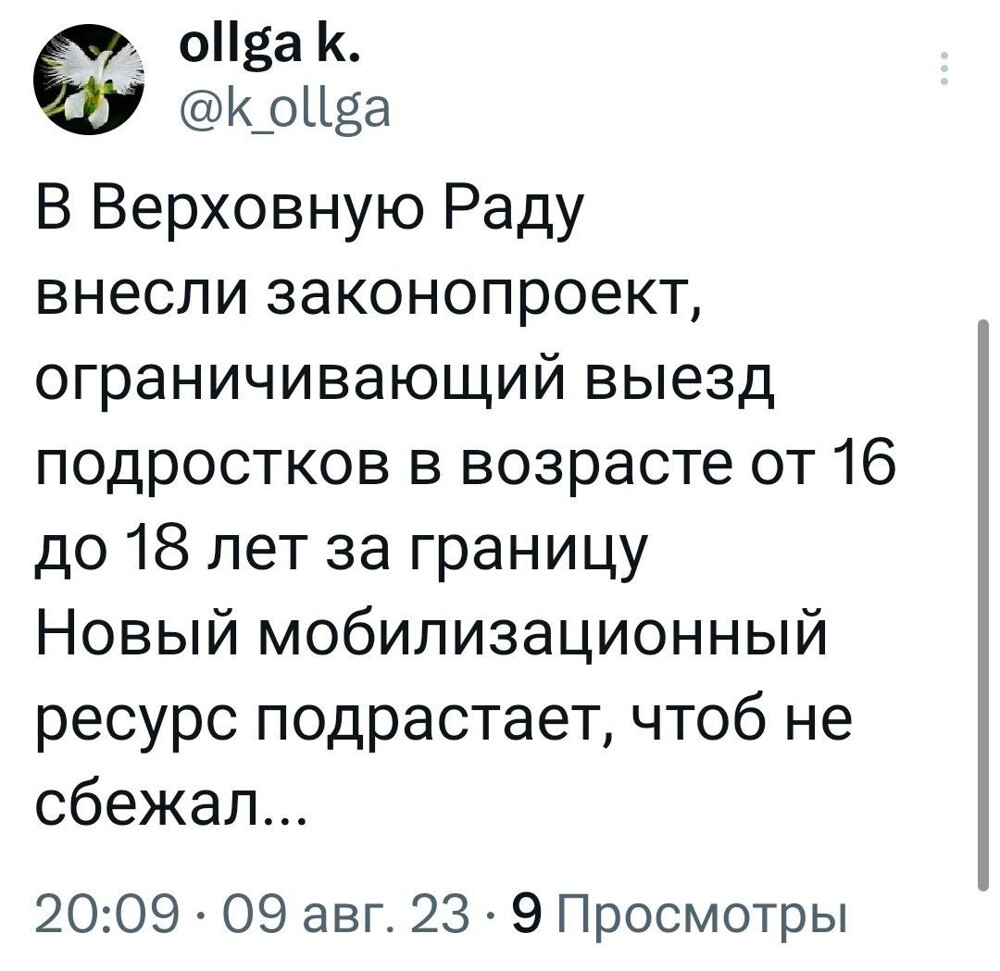 О политике и не только