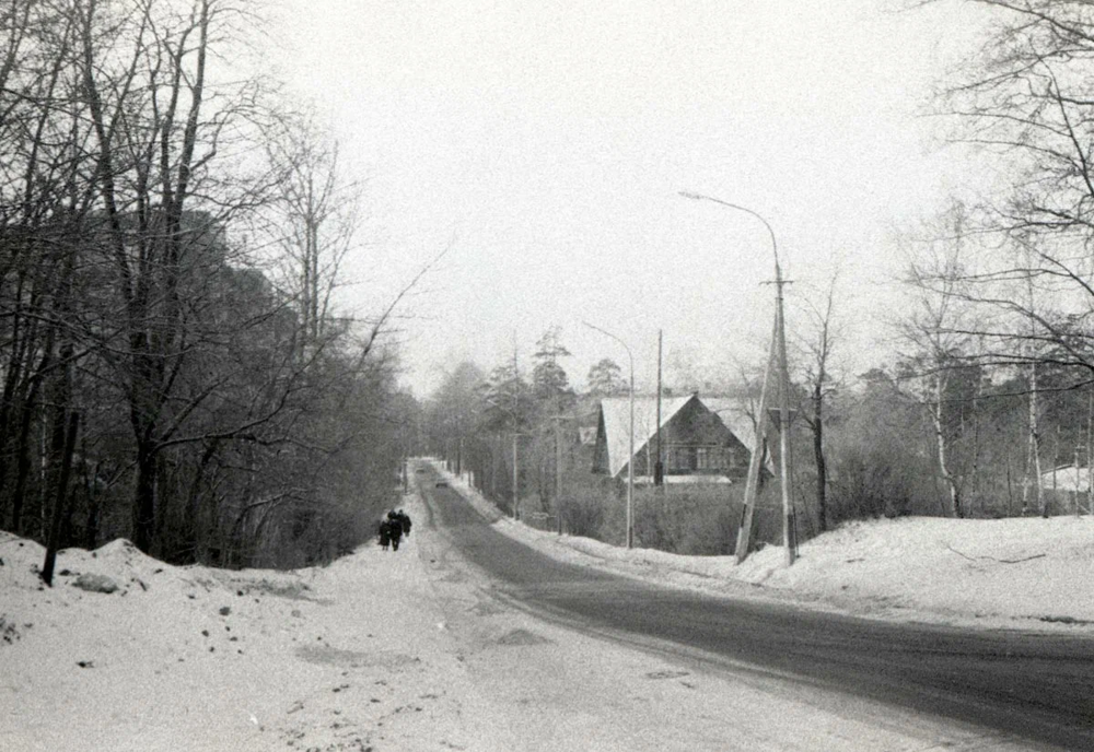 Практически деревенский пейзаж - это Рашетова улица образца 1977 года. Вид от Сосновки в сторону проспекта Энгельса.