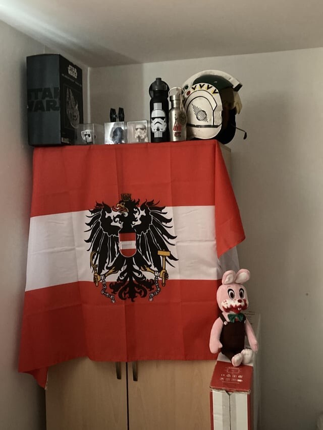 8. "Мой арендодатель сказал, чтобы я убрал свой нацистский флаг, иначе меня выселят. Я австриец. Я не знаю, обижаться мне или удивляться его глупости"