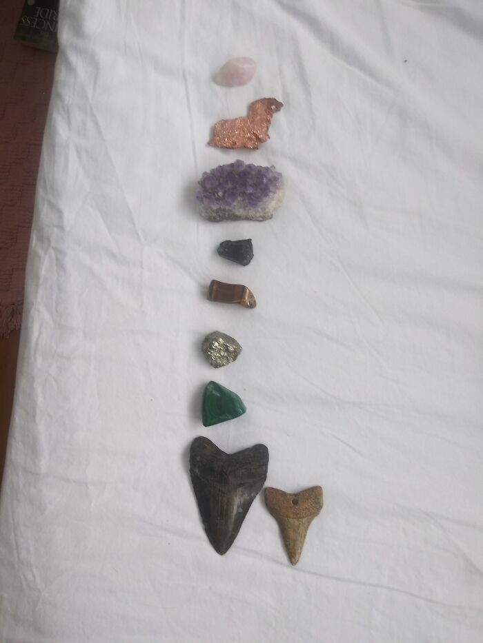 20. Коллекция камней и минералов, а также зубы акул
