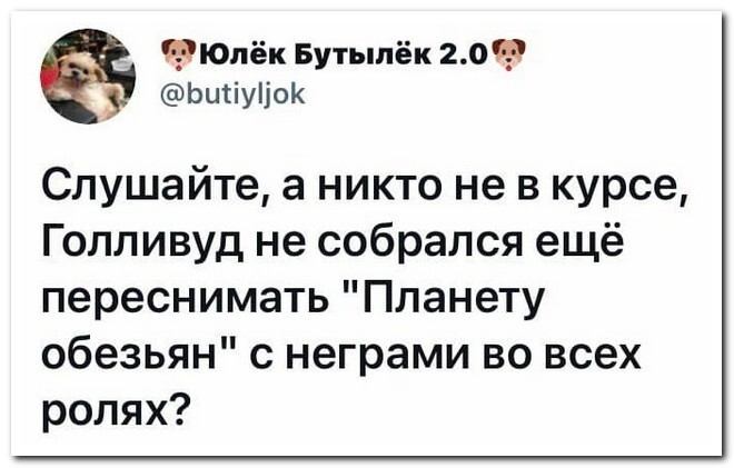 Скрины из соцсетей 