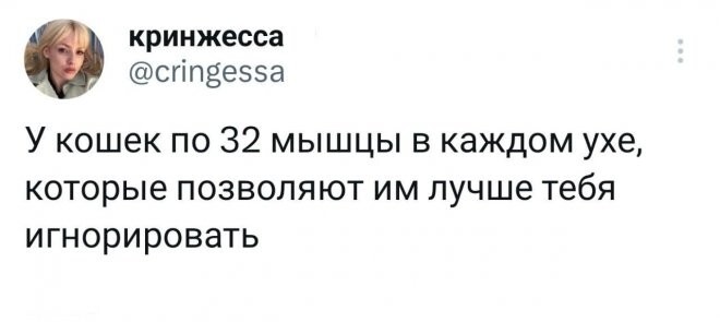 Скрины из соцсетей 