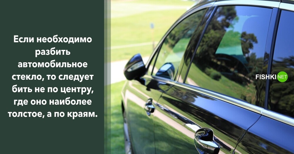 Дюжина полезных советов, чтобы не налажать в игре под названием "Жизнь"