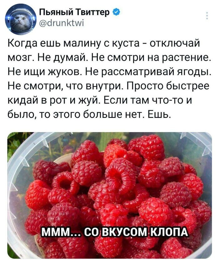 Скрины из соцсетей 