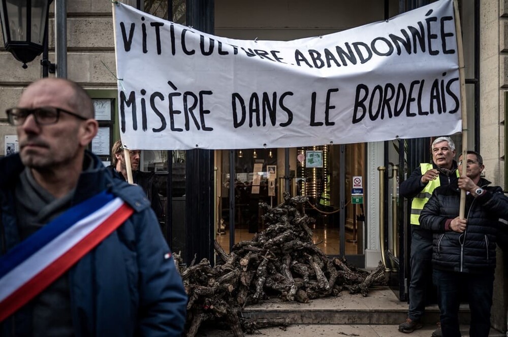 Франция решила отказаться от своих виноделен в Бордо