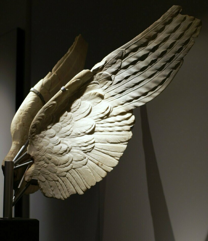 9. Мраморные крылья богини Победы римской эпохи Августа