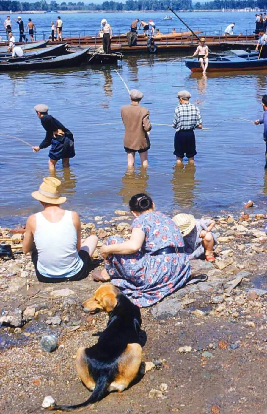 Собака и рыбаки на берегу реки Волги, 1958 год
