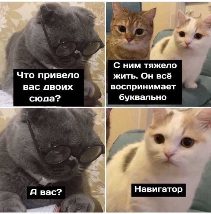 На общую тему 