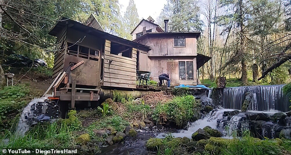 82-летний американец полвека живёт в лесу, полагаясь лишь на себя