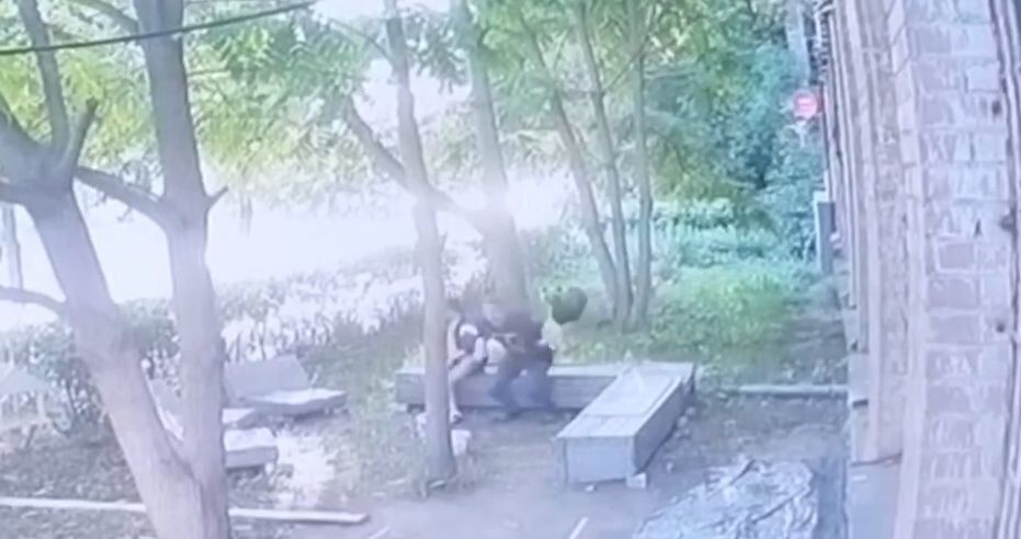 Обычный день в Костроме: медведь напал на двух парней, сидящих на лавочке во дворе