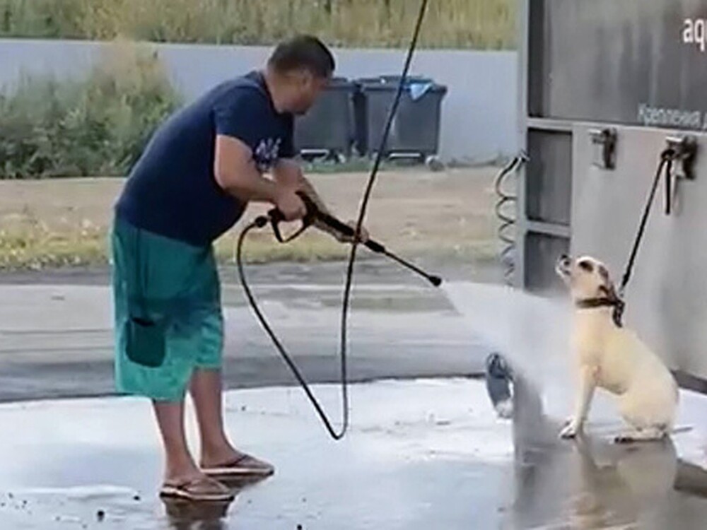 В Челябинске мужчина помыл собаку мощной струёй воды, однако не всем это понравилось