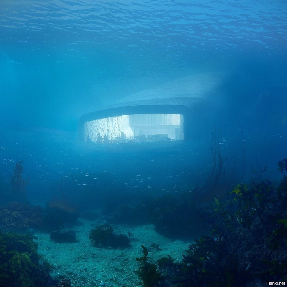 Подводный ресторан «Under» в Норвегии