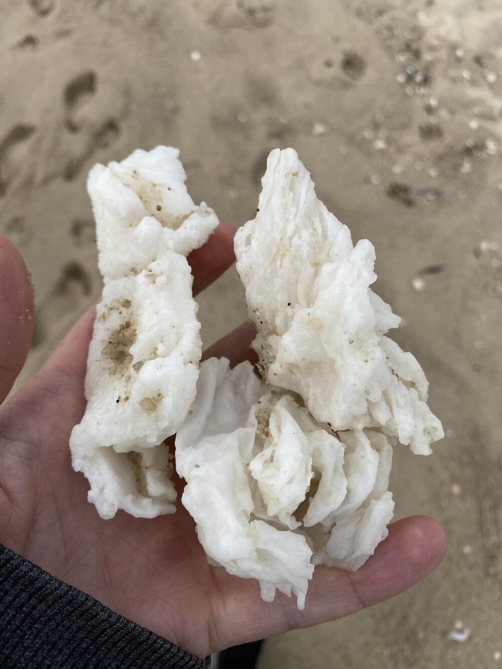 3. Белое твердое вещество, выброшенное на берег на пляже