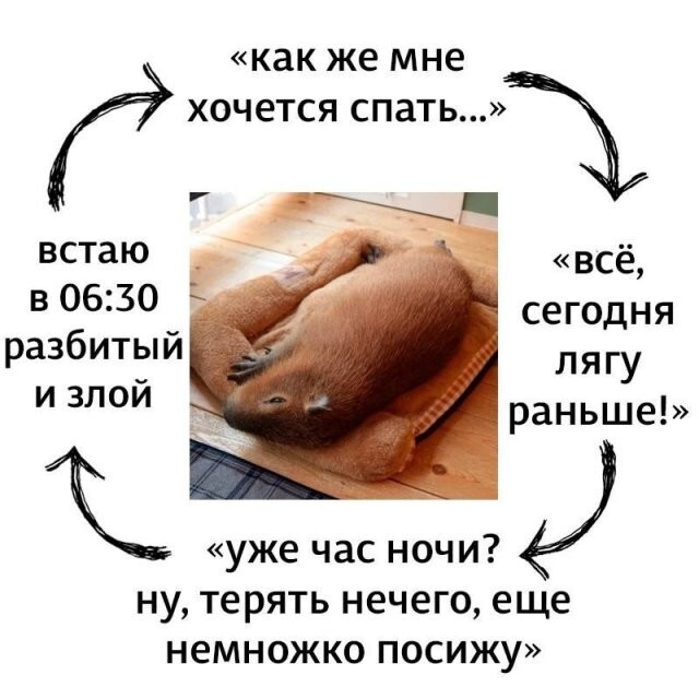 Не ищите здесь смысл. Здесь в основном маразм