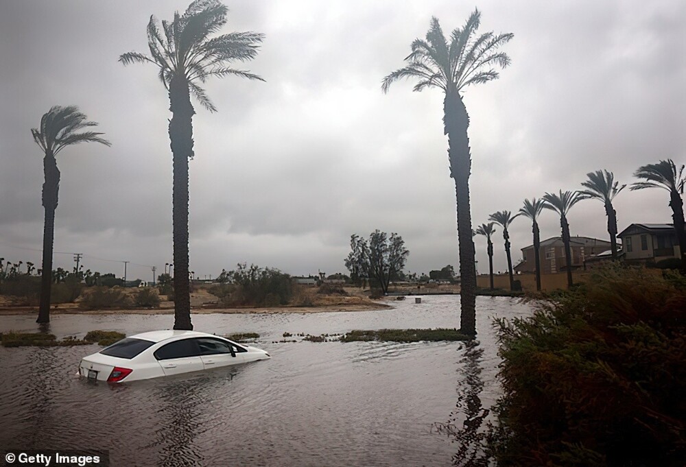 Пальмы и затопленные машины, Южная Калифорния