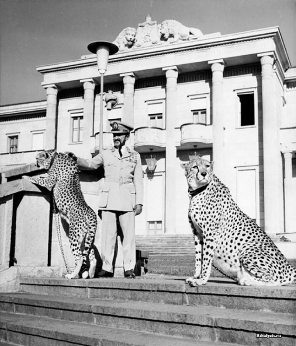 Импepaтор Xaйле Ceлacси со своими гепардами, Эфиопия, 1962 гoд