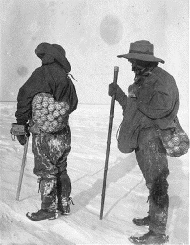 Экспедиция Роберта Фолкона Скотта готовится к Пасхе, собирая яйца пингвинов, Антарктида, 1901 год
