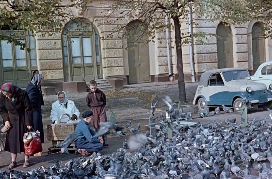 Голуби на площади Свердлова. Москва, 1962 год