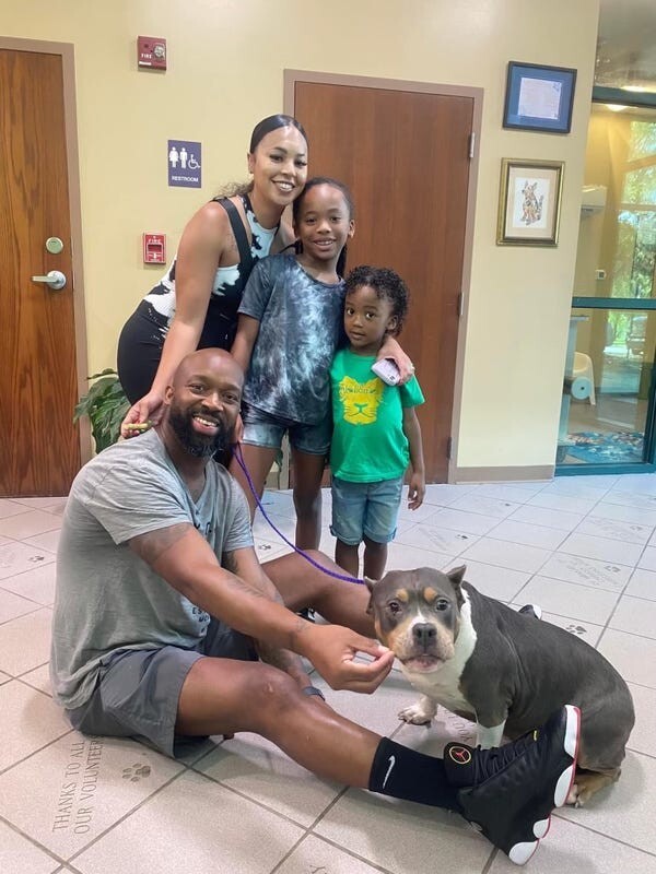 Семья чудом воссоединилась с собакой, которая пропала 3 года назад