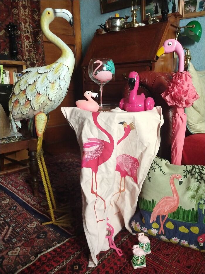 17. «Моя коллекция фламинго»
